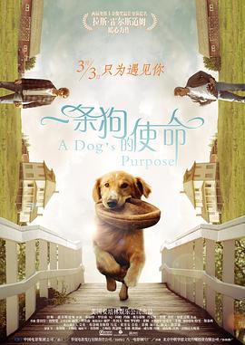 久久69精品久久久久久国产越南