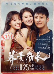 91视频免费在线观看